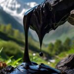 Rasayanam Ayurveda Shilajit